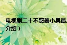 电视剧二十不惑姜小果最后和谁在一起了（电视剧二十不惑介绍）