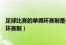 足球比赛的单循环赛制是什么意思（什么是足球比赛的单循环赛制）