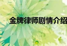 金牌律师剧情介绍（金牌律师剧情简介）