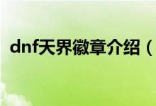 dnf天界徽章介绍（dnf天界徽章介绍简述）