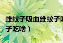 雌蚊子吸血雄蚊子吃什么（：雌蚊子吸血雄蚊子吃啥）