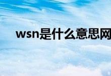 wsn是什么意思网络用语（wsn的意思）