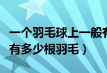 一个羽毛球上一般有几只羽毛（标准的羽毛球有多少根羽毛）