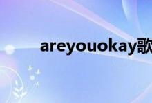 areyouokay歌曲（areyouokay）