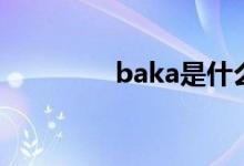 baka是什么意思（baka）