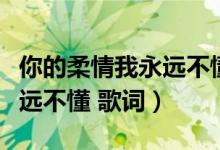 你的柔情我永远不懂歌词原唱（你的柔情我永远不懂 歌词）