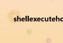 shellexecutehooks如何创建正确的