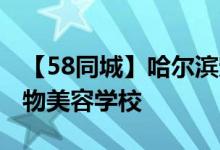 【58同城】哈尔滨宠物美容师培训_哈尔滨宠物美容学校