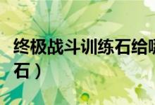 终极战斗训练石给哪个宠物用（终极战斗训练石）