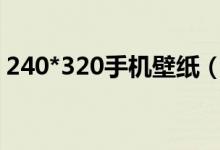 240*320手机壁纸（240 320手机动态壁纸）