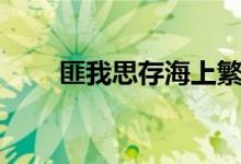 匪我思存海上繁花（匪我思存官网）