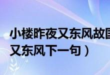 小楼昨夜又东风故国不堪回首翻译（小楼昨夜又东风下一句）