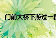 门前大桥下游过一群鸭儿歌（门前大桥下）