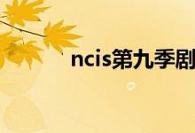 ncis第九季剧情（ncis第九季）