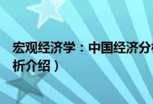 宏观经济学：中国经济分析（关于宏观经济学：中国经济分析介绍）