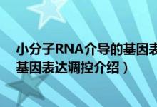 小分子RNA介导的基因表达调控（关于小分子RNA介导的基因表达调控介绍）