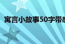 寓言小故事50字带感悟（寓言小故事50字）