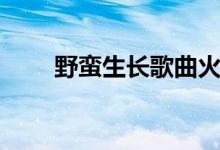 野蛮生长歌曲火了（野蛮生长歌词）