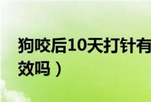 狗咬后10天打针有用吗（被狗咬10天打针有效吗）