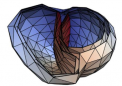 研究表明人工神经网络可以定位额外的心跳