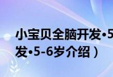 小宝贝全脑开发·5-6岁（关于小宝贝全脑开发·5-6岁介绍）