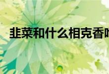 韭菜和什么相克香哈网（韭菜和什么相克）