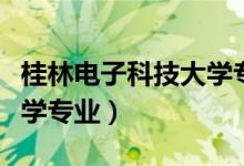 桂林电子科技大学专业设置（桂林电子科技大学专业）