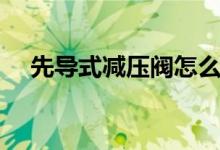 先导式减压阀怎么调节（先导式减压阀）