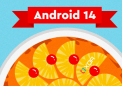 如何为 Google Pixel 和其他 Android 设备下载 Android 14