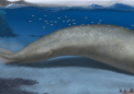 这头古老的鲸鱼可能是有史以来最重的动物吗