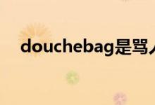 douchebag是骂人的吗（douchebag）