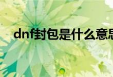 dnf封包是什么意思（dnf封包会封号吗）