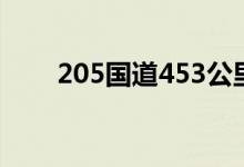 205国道453公里500米（205国道）