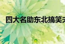 四大名助东北搞笑夫妻完整版（四大名助）