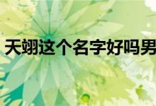 天翊这个名字好吗男孩（天翊这个名字好吗）