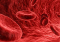 福斯塔替尼治疗慢性免疫性血小板减少症