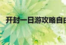 开封一日游攻略自由行（开封一日游攻略）