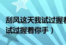 刮风这天我试过握着你手表情包（刮风这天我试过握着你手）