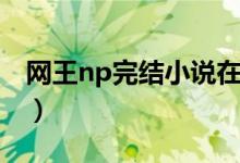 网王np完结小说在线阅读（网王np完结小说）