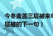 今冬麦盖三层被来年枕着意思是（今冬麦盖三层被的下一句）