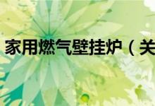 家用燃气壁挂炉（关于家用燃气壁挂炉介绍）