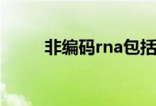 非编码rna包括哪些（非编码rna）