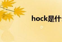 hock是什么意思（hoc）