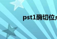 pst1酶切位点（pst10 info）