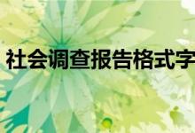 社会调查报告格式字体（社会调查报告格式）