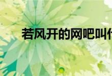 若风开的网吧叫什么（若风开的网吧）