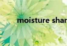 moisture shampoo（moisture）