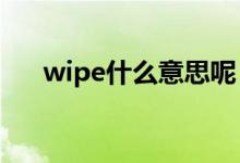 wipe什么意思呢（wipes是什么东西）