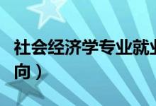 社会经济学专业就业方向（经济学专业就业方向）