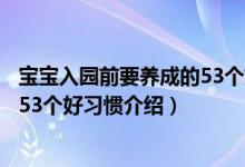 宝宝入园前要养成的53个好习惯（关于宝宝入园前要养成的53个好习惯介绍）